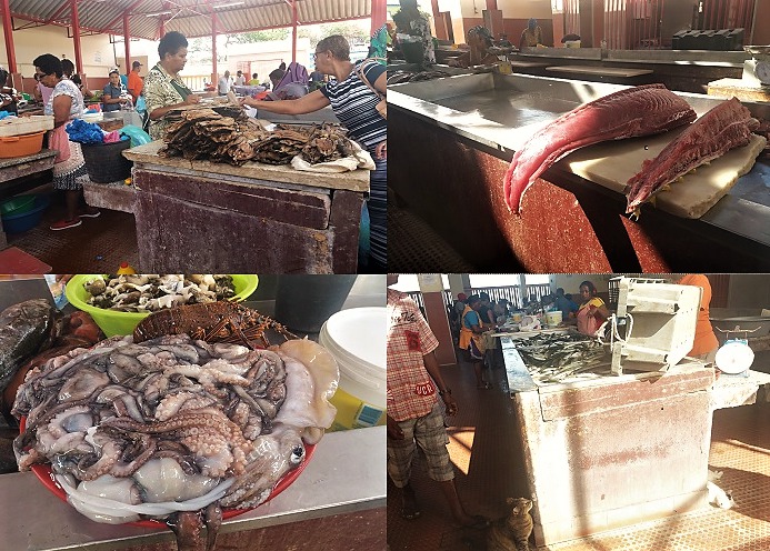 capo verde mercato del pesce di mindelo - amma cucenà