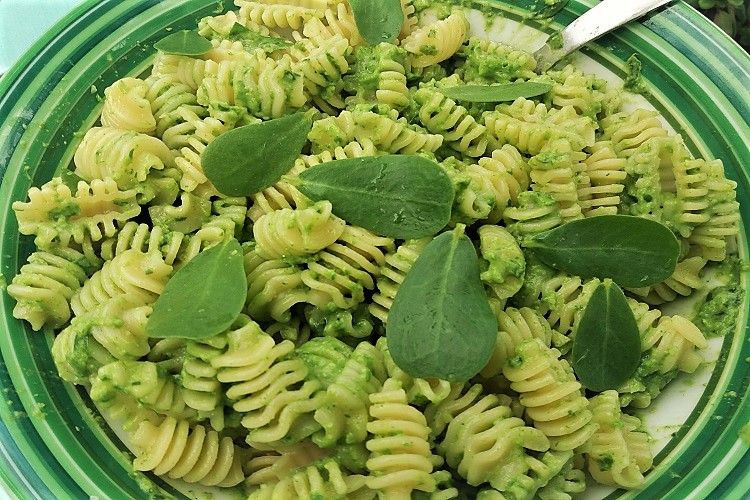 pesto di portulaca picchiacchieddi amma cucenà