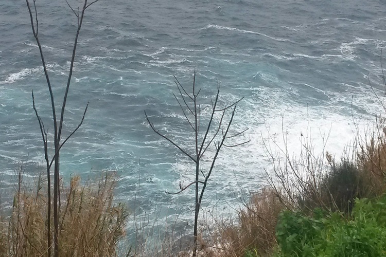 Mare procidano - Amma cucenà